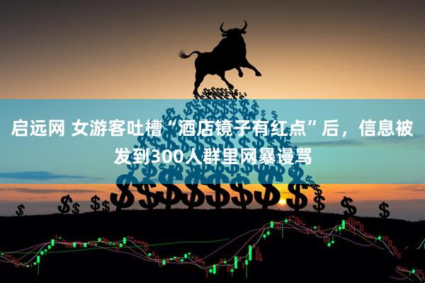 启远网 女游客吐槽“酒店镜子有红点”后，信息被发到300人群里网暴谩骂